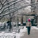 Майже весна: коли на Кіровоградщині потеплішає після -14°