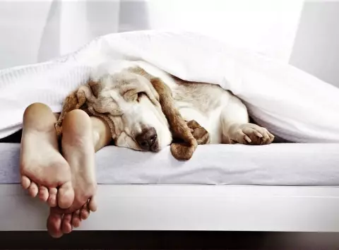 Робота, що змінює мозок: небезпечний графік забирає пам’ять і емоції