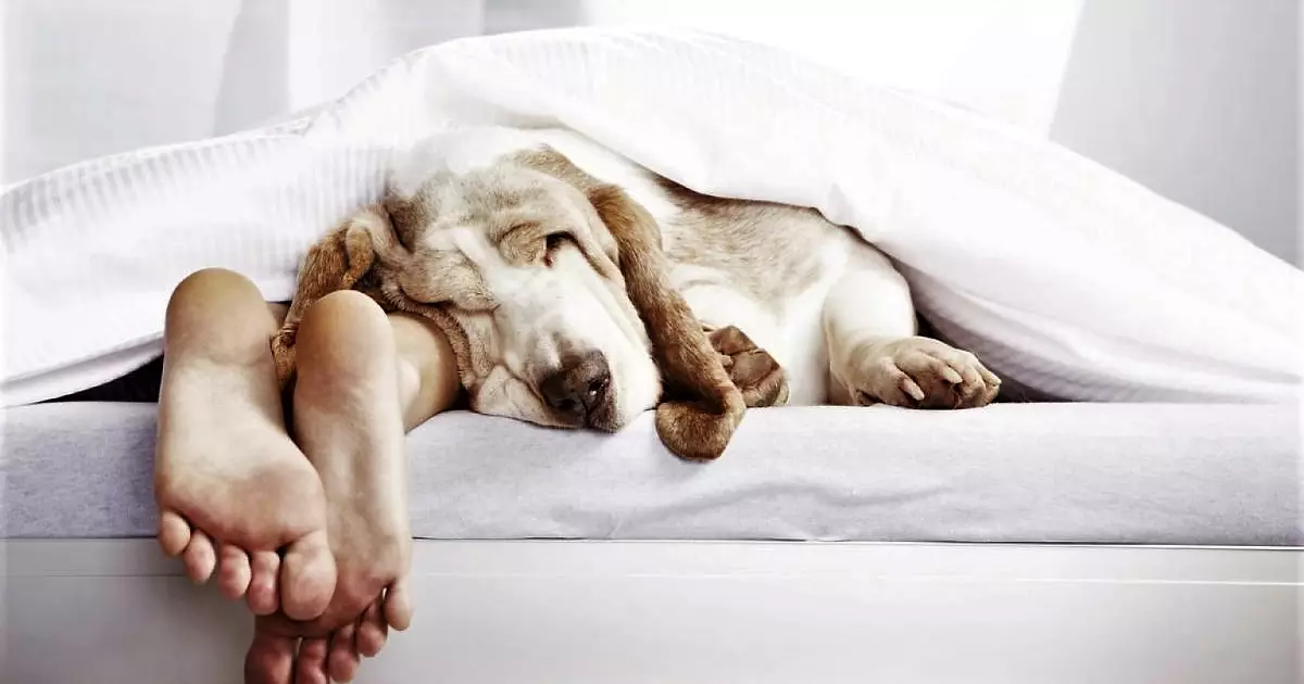 Робота, що змінює мозок: небезпечний графік забирає пам’ять і емоції