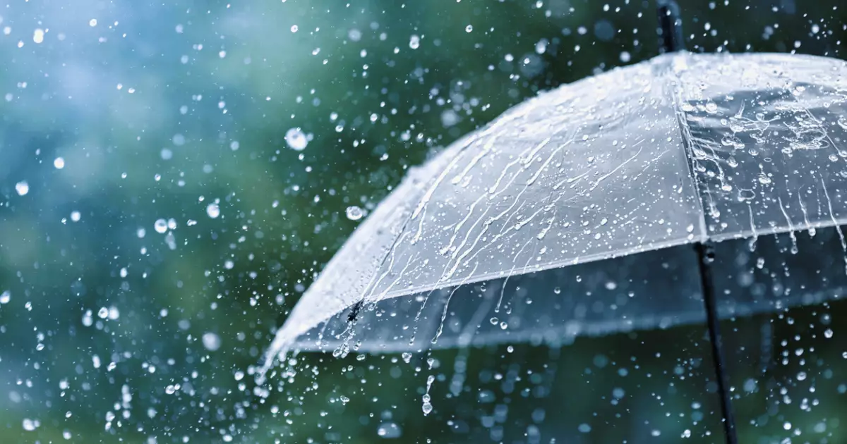 Дощі в Україні: що прогнозують синоптики?