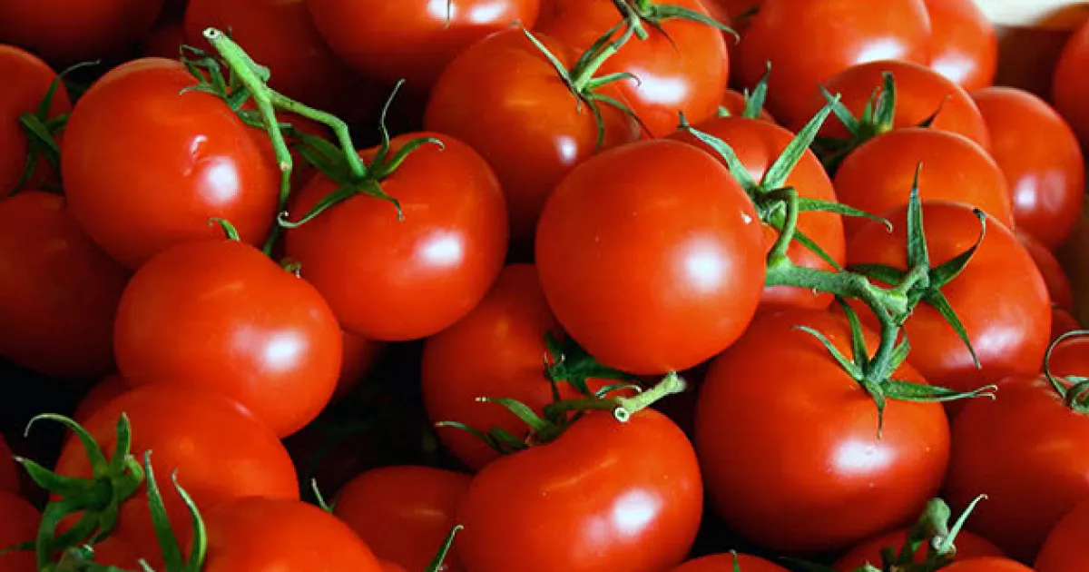 У «Сільпо» виявили «золоті» помідори — ціна зрівнялася з морськими делікатесами