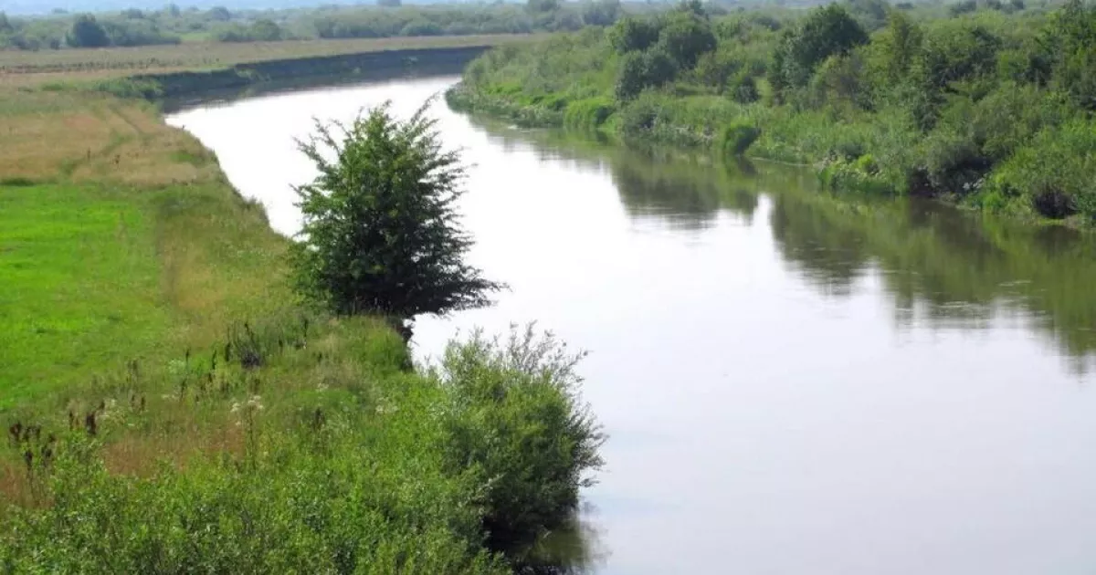 Ріка на Рівненщині, що "затягує": чому місцеві її люблять і бояться