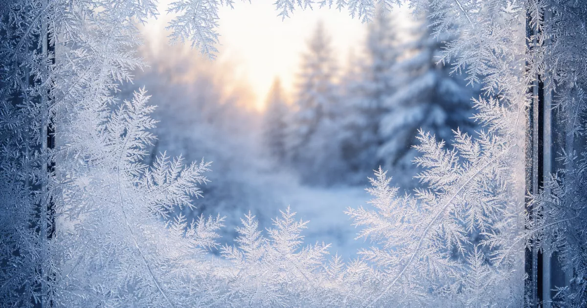 Не буде проблем із грошима, якщо 12 лютого уникнете однієї дії — головні заборони дня