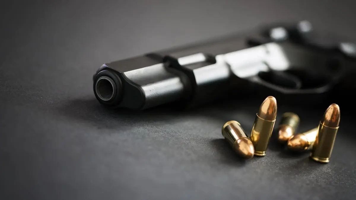 У Кабміні з’явилась петиція про зброю для самозахисту ветеранів: що відомо