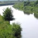 Ріка на Рівненщині, що "затягує": чому місцеві її люблять і бояться