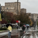 На Полтавщині вночі зафіксували землетрус: магнітуда 3,2 бала