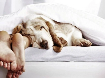 Робота, що змінює мозок: небезпечний графік забирає пам’ять і емоції