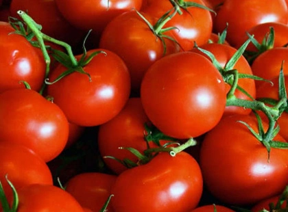 У «Сільпо» виявили «золоті» помідори — ціна зрівнялася з морськими делікатесами