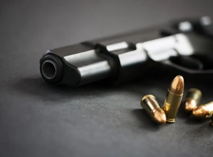 У Кабміні з’явилась петиція про зброю для самозахисту ветеранів: що відомо