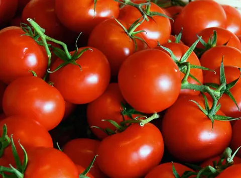 У «Сільпо» виявили «золоті» помідори — ціна зрівнялася з морськими делікатесами