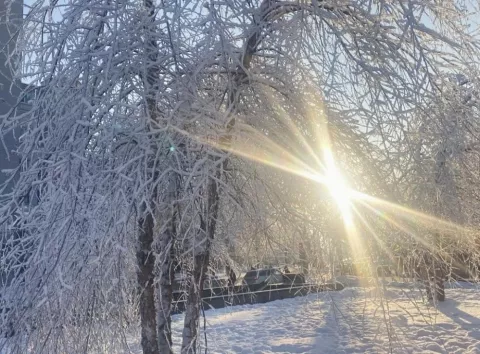 Полтавщину заморозять люті морози: коли чекати нового похолодання