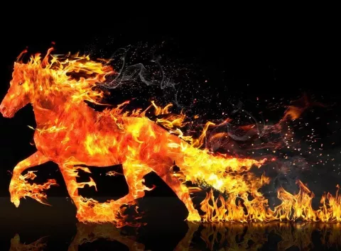 Китайський Новий рік 2026: коли настане Рік Вогняного Коня і що не можна робити