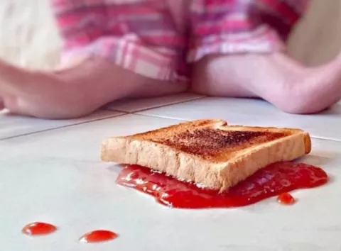 Це не «закон підлості»: чому бутерброд падає маслом униз